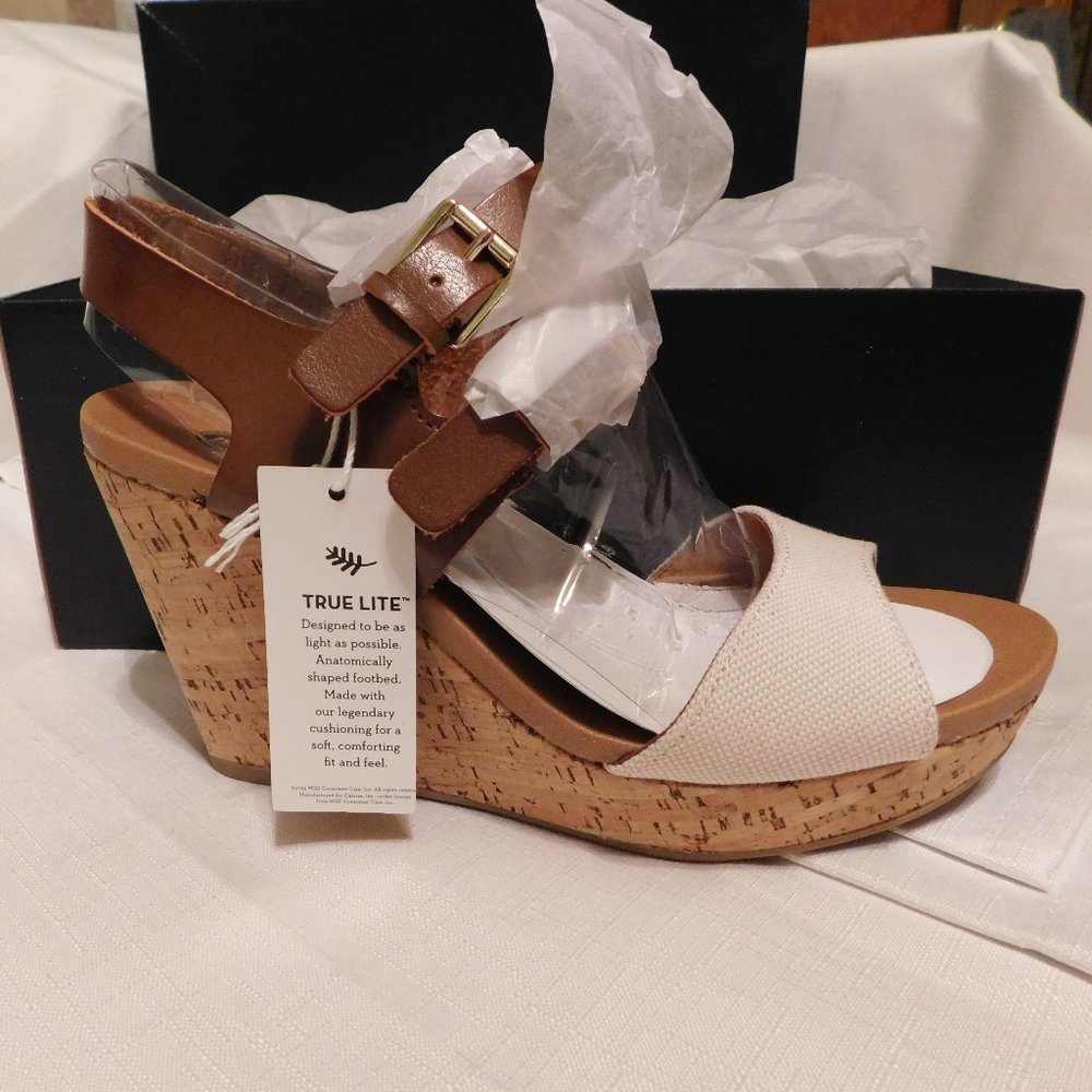 DOCTOR SCHOLL'S MASHUPS